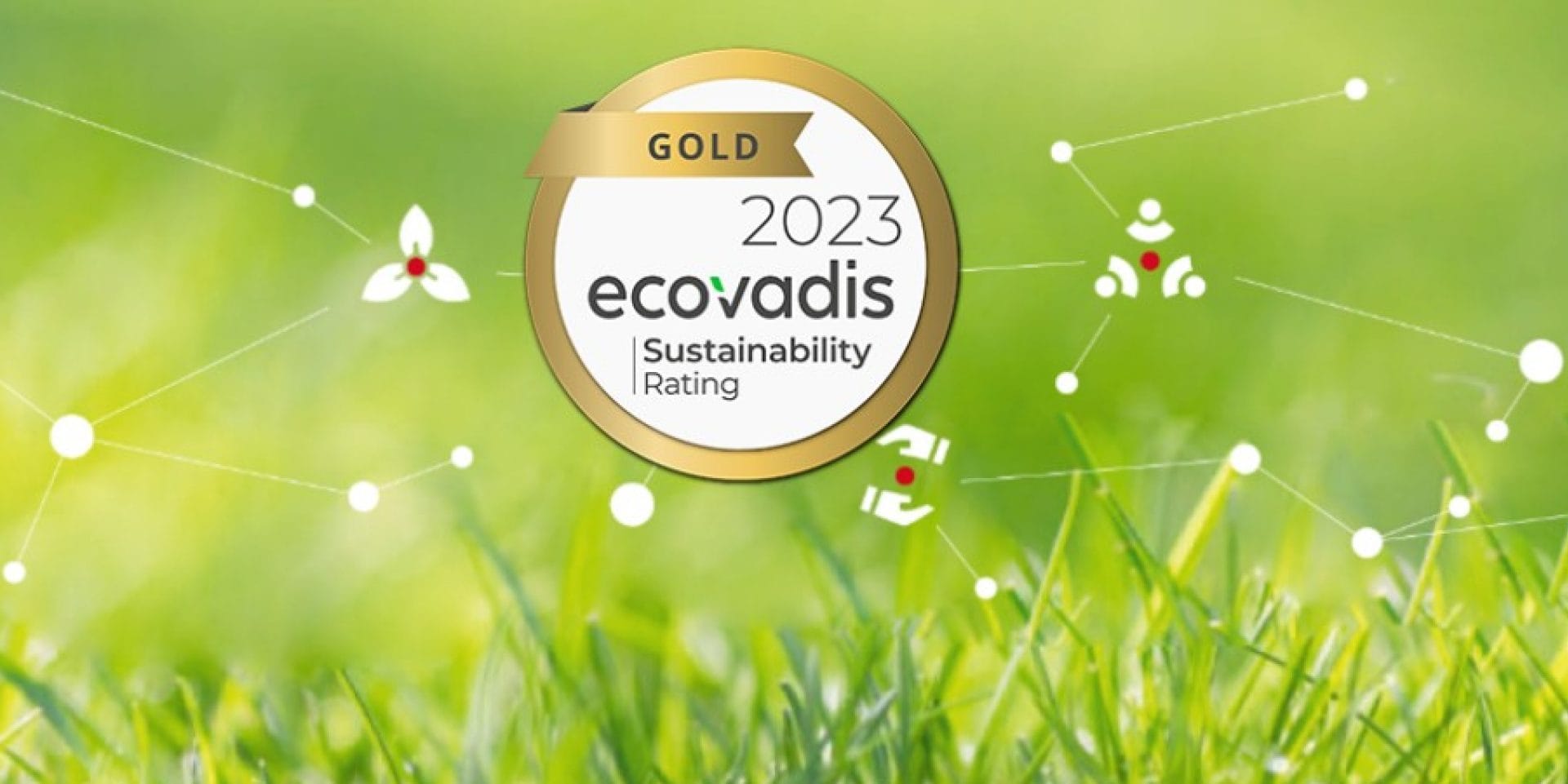 Ecovadis 2024